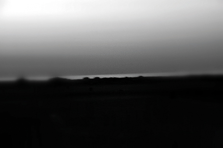 ales vega